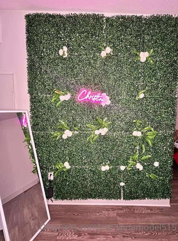 What do you guys think about the wall I make for taking pict..