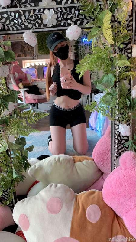 indigowhite image #48