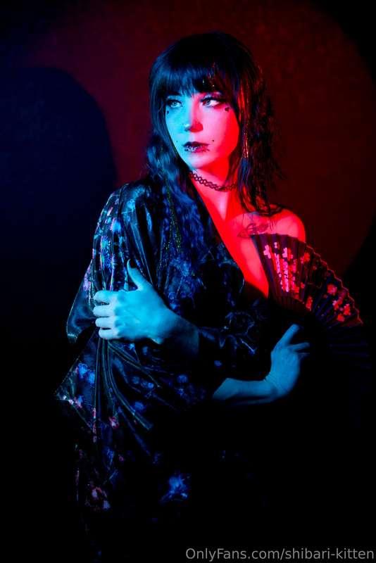 shibari-kitten image #0