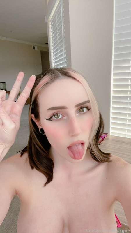morgpie image #1