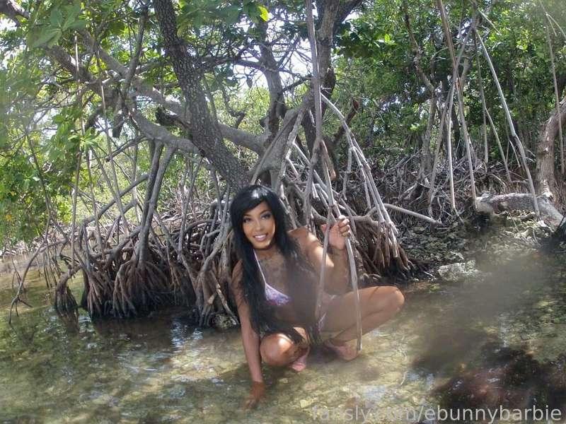 ebunnybarbie image #2
