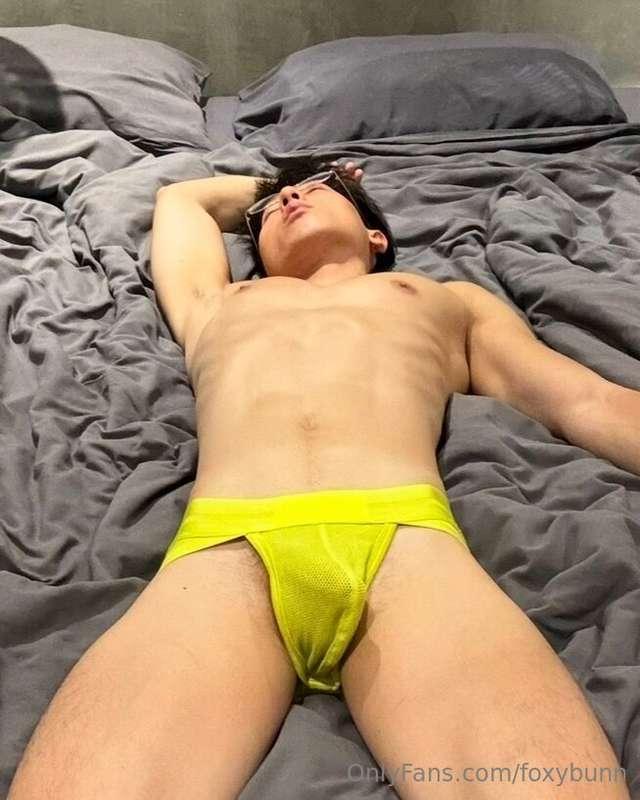 🐶🐶