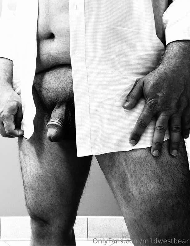 m1dwestbear image #1