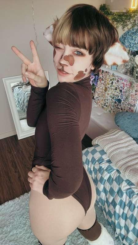 indigowhite image #131