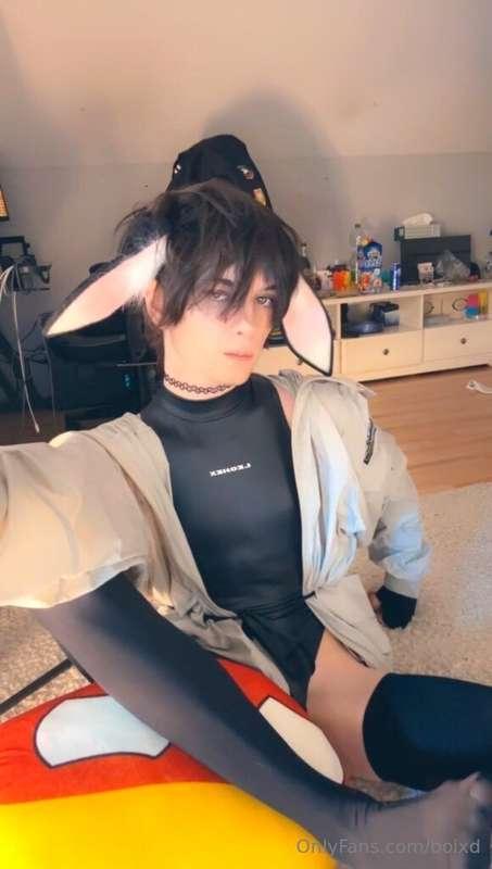 boixd image #0