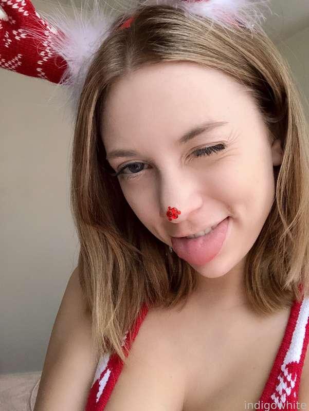 indigowhite image #10