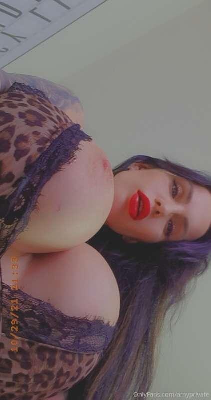 amylefox main image