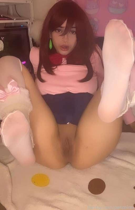 petmimi image #4