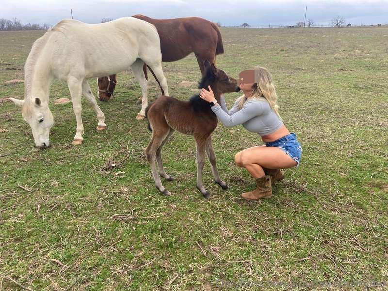 Had a new baby last night😘❤️🐴