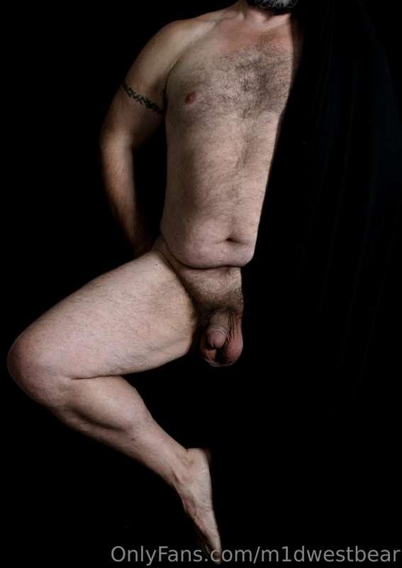 m1dwestbear image #10
