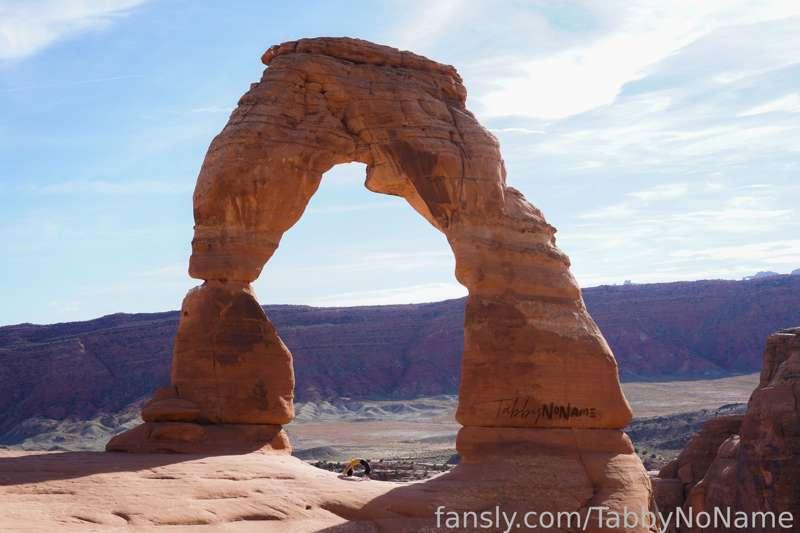 tabbynoname image #0