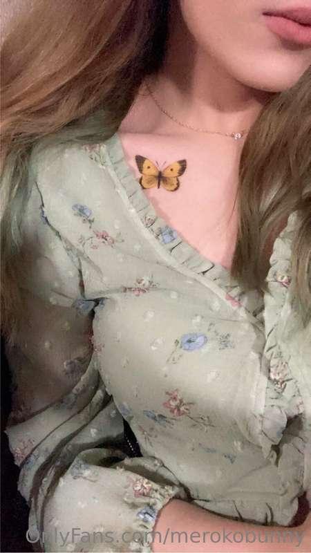 나비 🦋