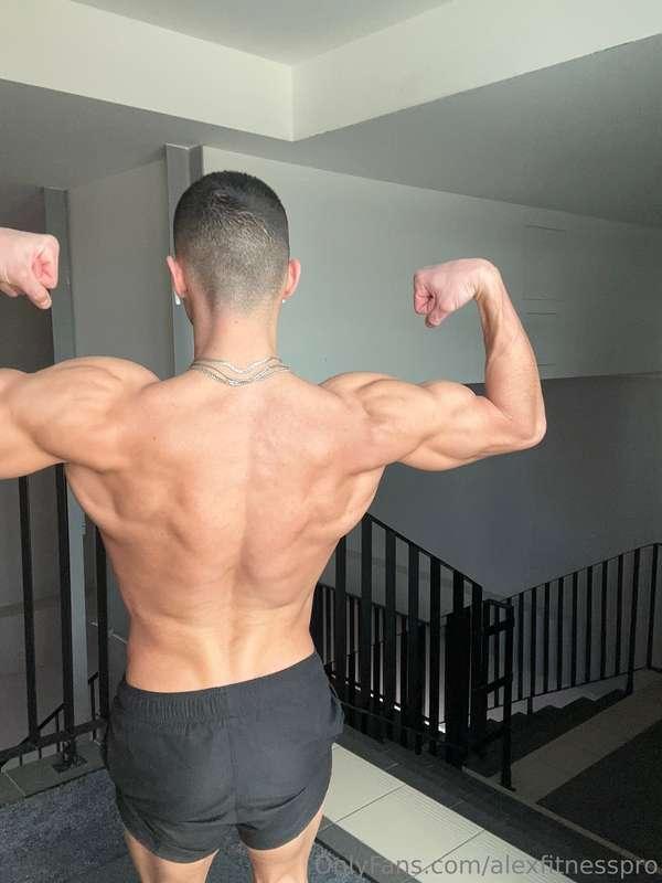 alexfitnesspro image #24