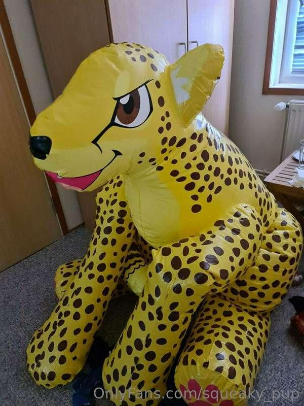 So I have a cute little cheetah here. And I want him reinfor..