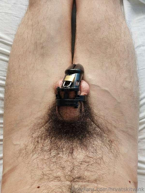 hrvatskitwink image #3