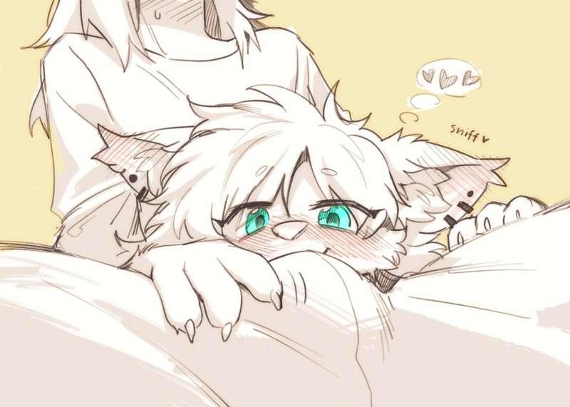 sketch