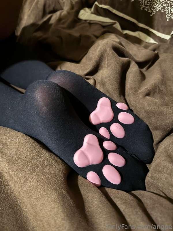 Meow🐾
