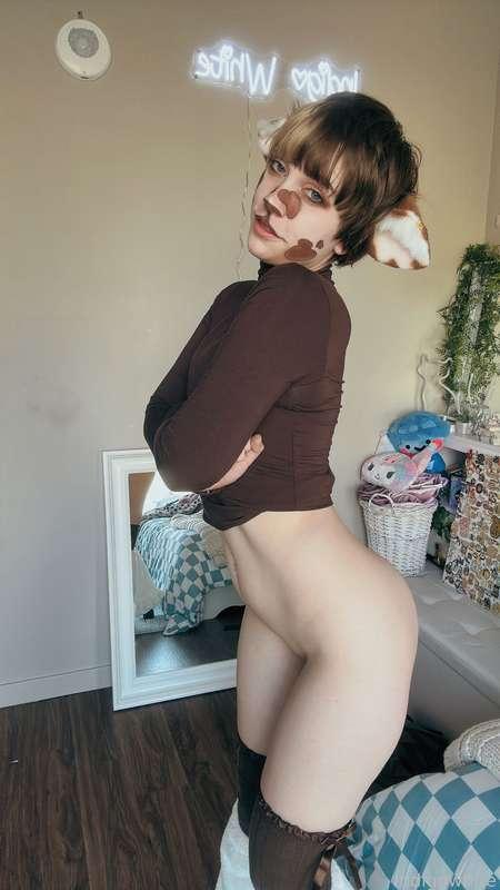 indigowhite image #208
