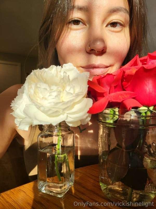 🌹🌹