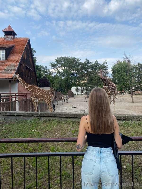 I was at the zoo and decided to show you these cuties 🦒🥰 Do ..