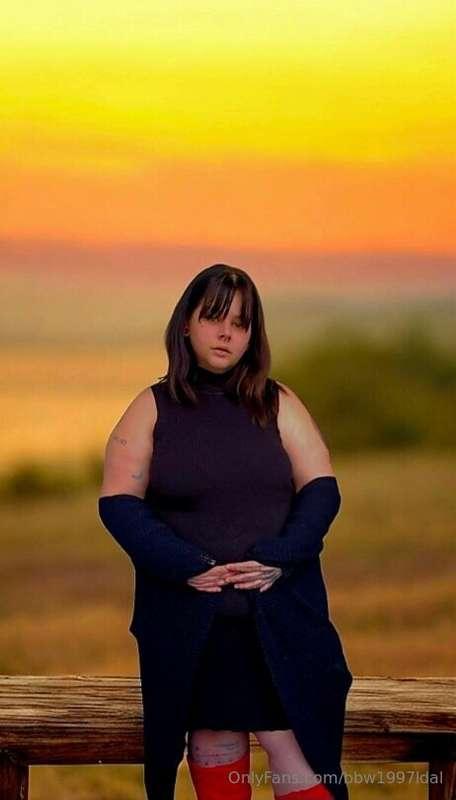 bbw1997ldal image #1