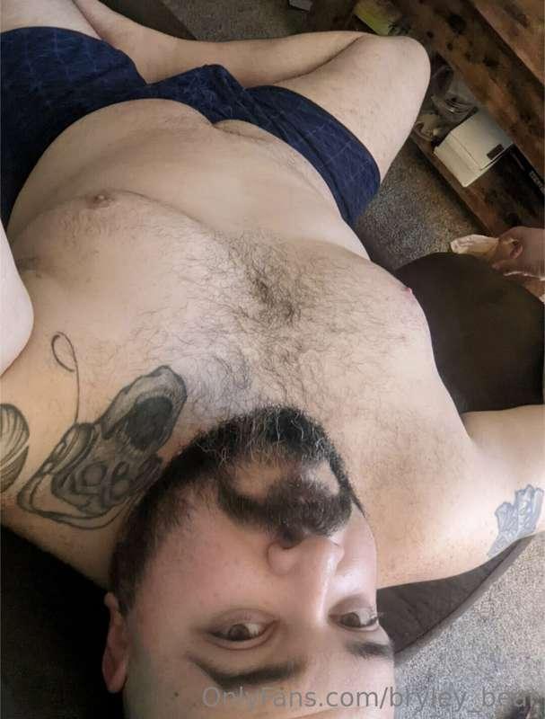 bryley_bear image #1