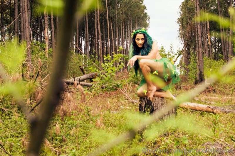 Nos vemos en el bosque???