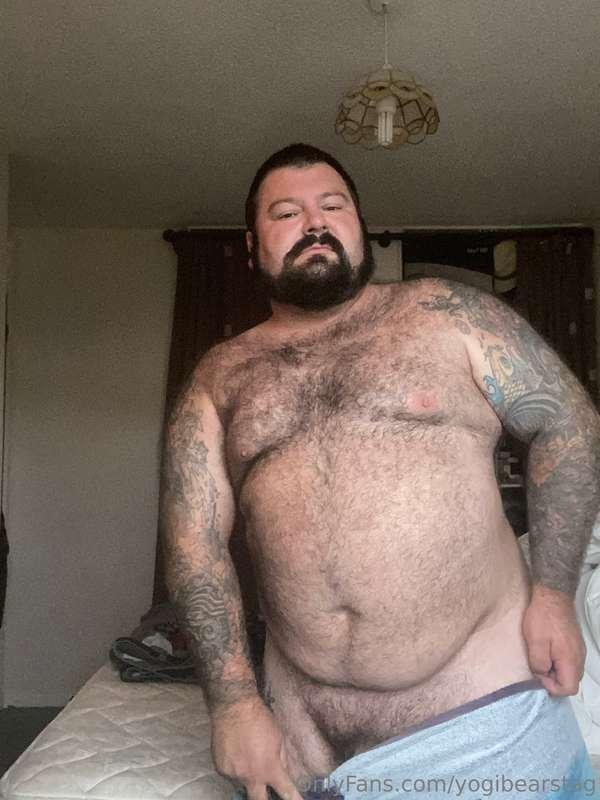 yogibearstag image #0