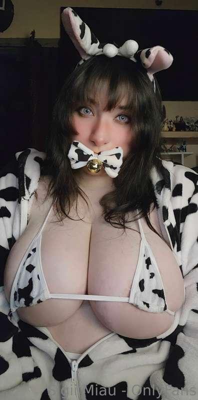 🐮🐄🥛