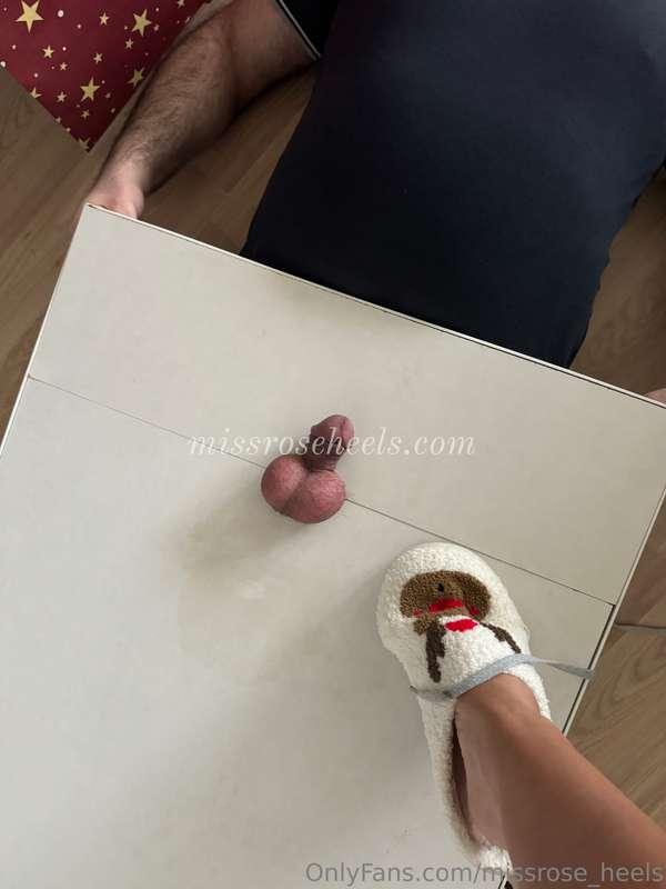 Thinking of which shoes to use on the new table, what do you..