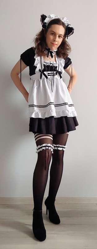 The cute kitty maid is here 😺
