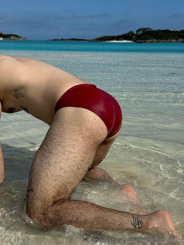 frankfurdnerd main image