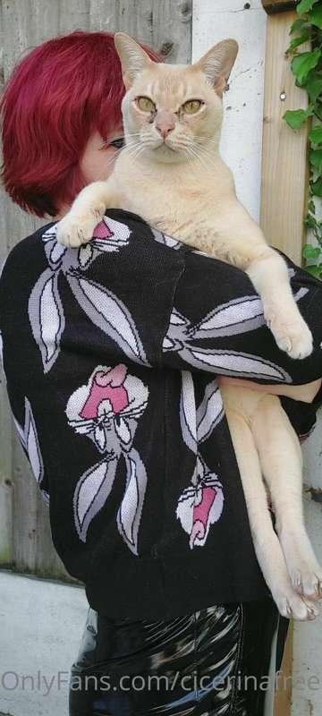 🐈