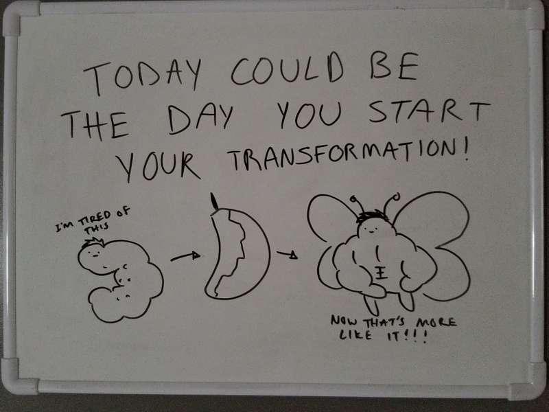 Metamorphosis