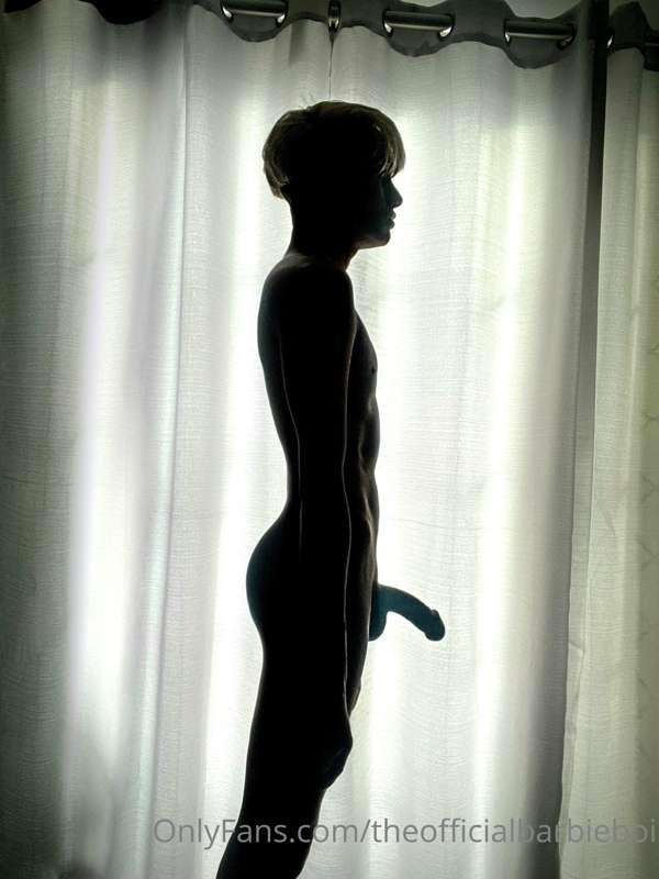 Morning Silhouette