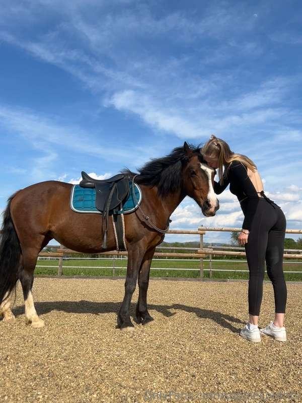 Do you like horsee riding? 🐎