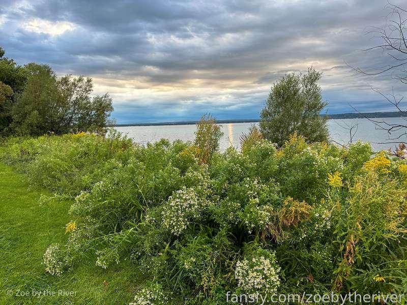 zoebytheriver image #11