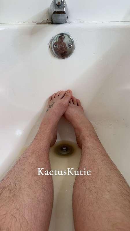 kactuskutievipee image #0