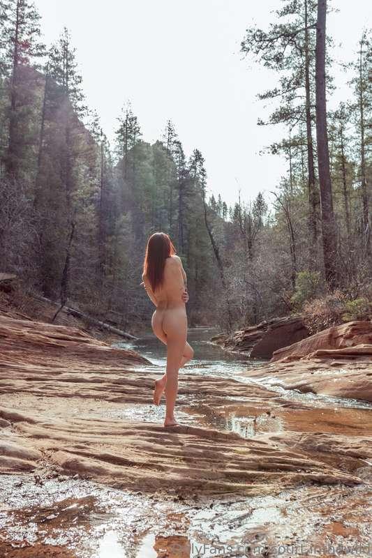 court.inthewild image #3