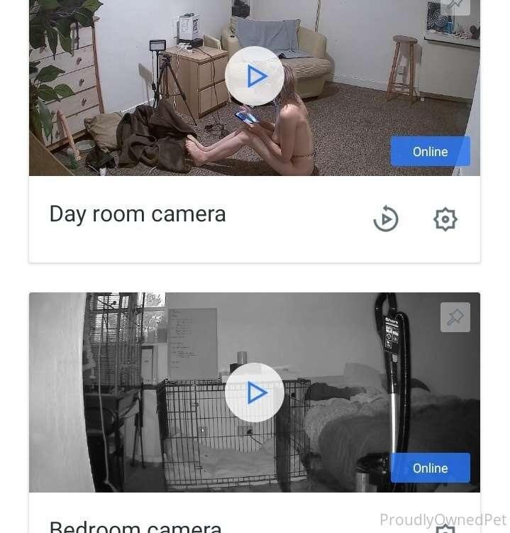 Curiously high interest in the cameras. So you can see here ..