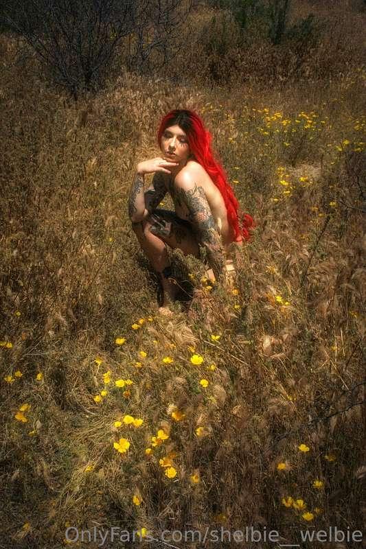 shelbie__welbie image #4