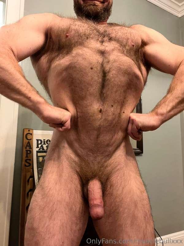 musclebullxxx image #1