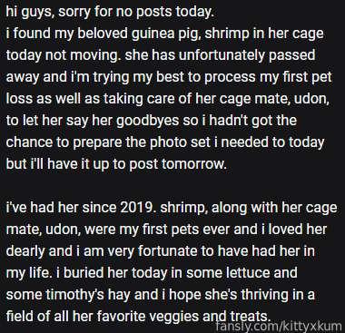kittyxkum image #0