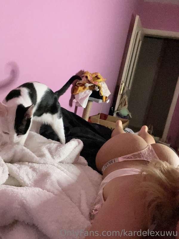 kardelexuwu image #1