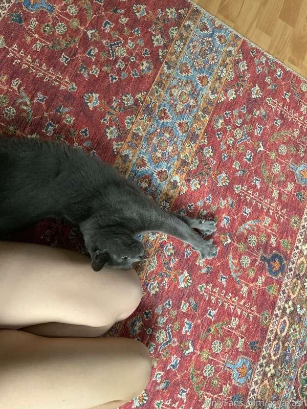 A normal weekend with my little love cat 🐈‍⬛
