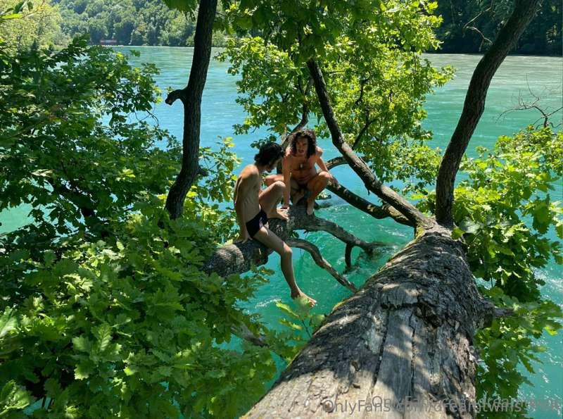 Two monkeys on a tree ahaha