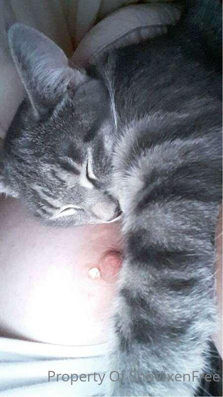 Kitties and titties
