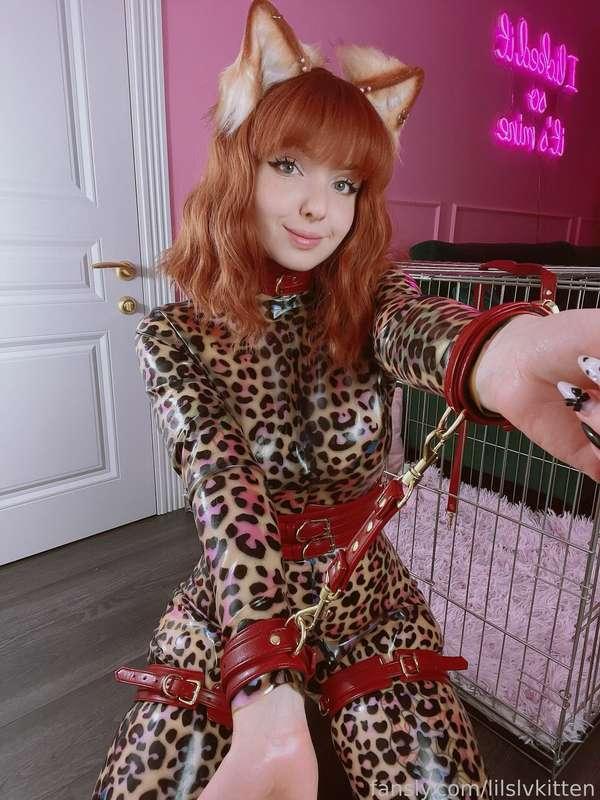 lilslvkitten image #1