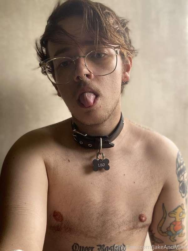 happy little pup 🐶