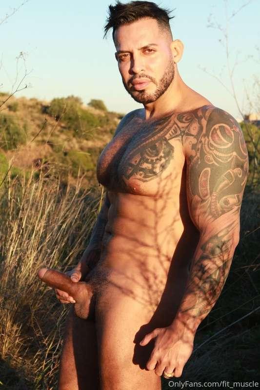 fit_muscle image #3